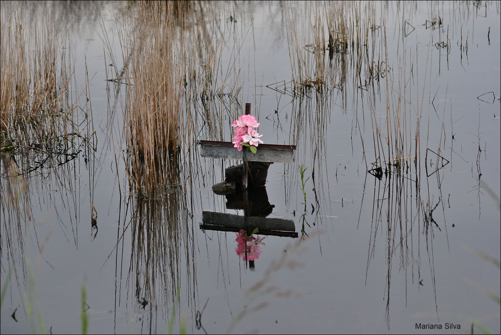 "Reflejos" de Mariana Silva