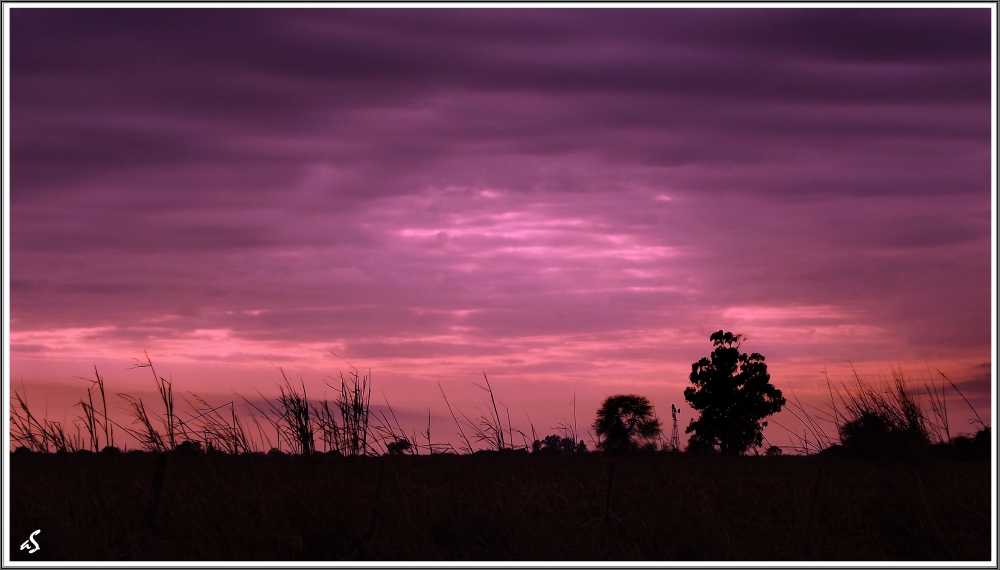 "Atardecer campestre ..." de Alejandra Spessot