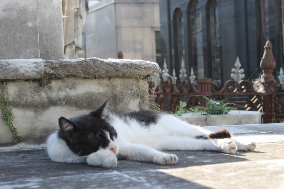 "Siesta al sol" de Maca Ferreyra