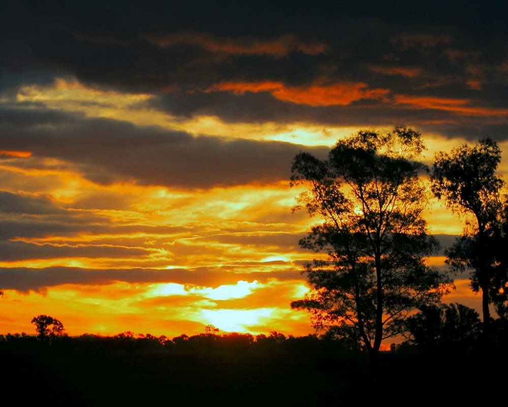 "Atardecer" de Agustn Gribodo