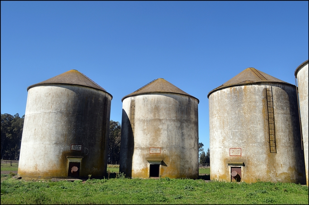 "los silos" de Juan Francisco Arrachea