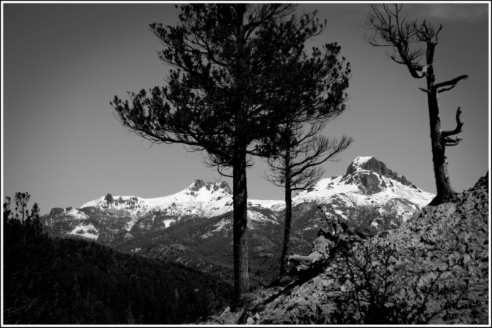 "Paisaje Patagonico" de Gaston E. Polese