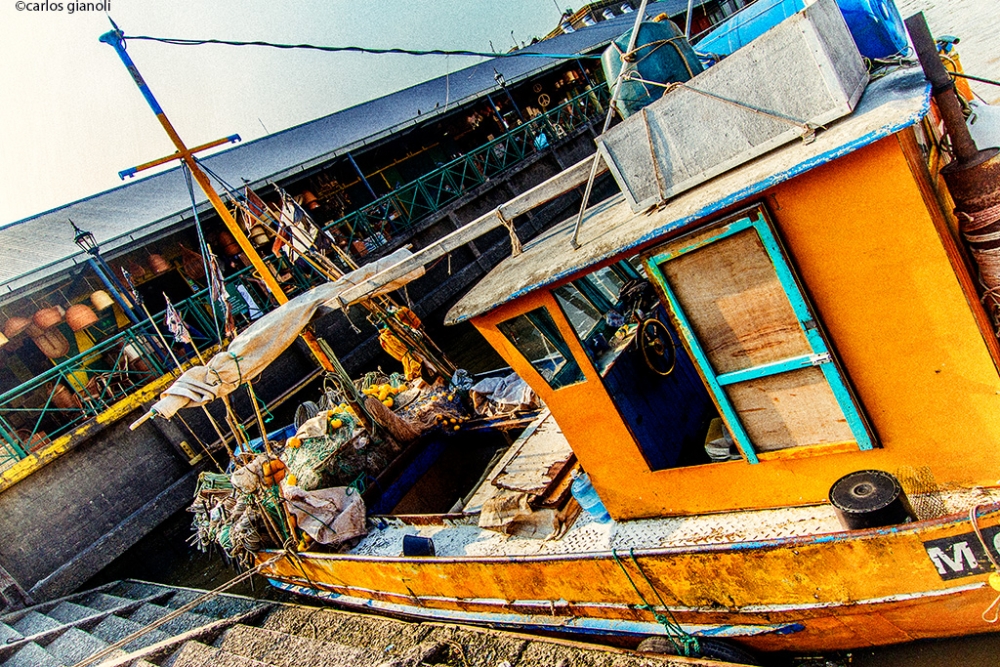 "Abandonen el barco o cambien la perspectiva" de Carlos Gianoli