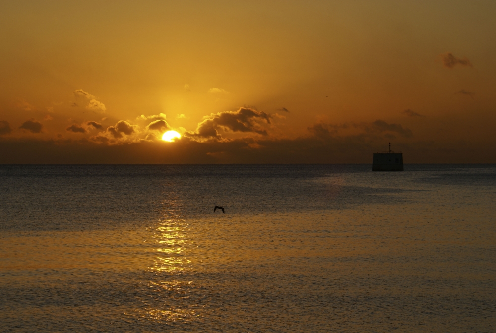 "Amaneciendo" de Ricardo Alfredo Borthwick