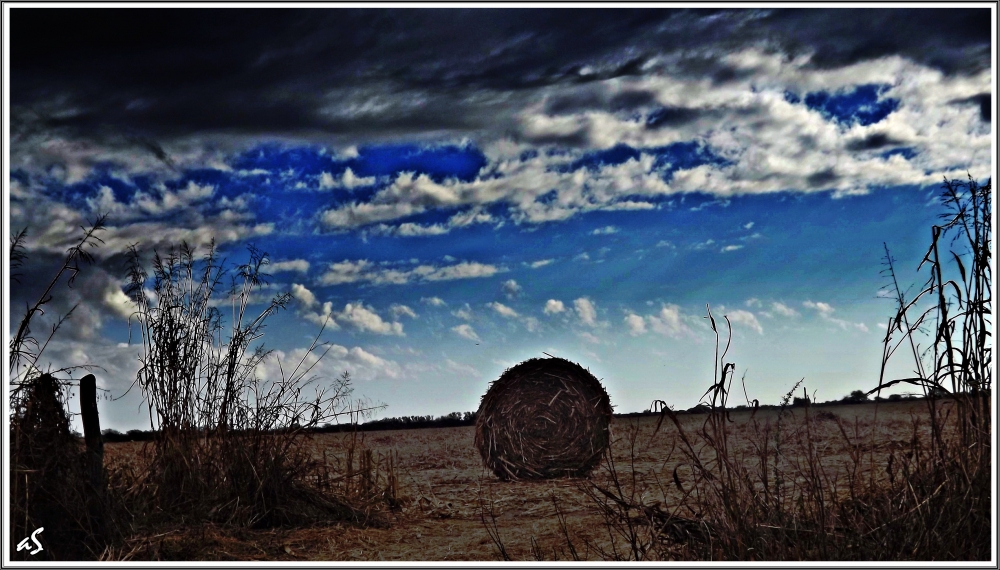 "Nubes cargadas" de Alejandra Spessot