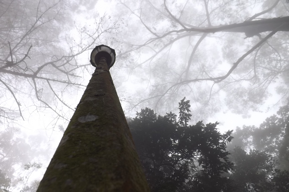 "Farol" de Luis Urbina