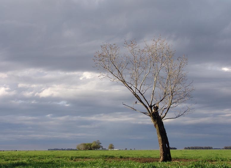 "cielo amenazante" de Vernica Dana