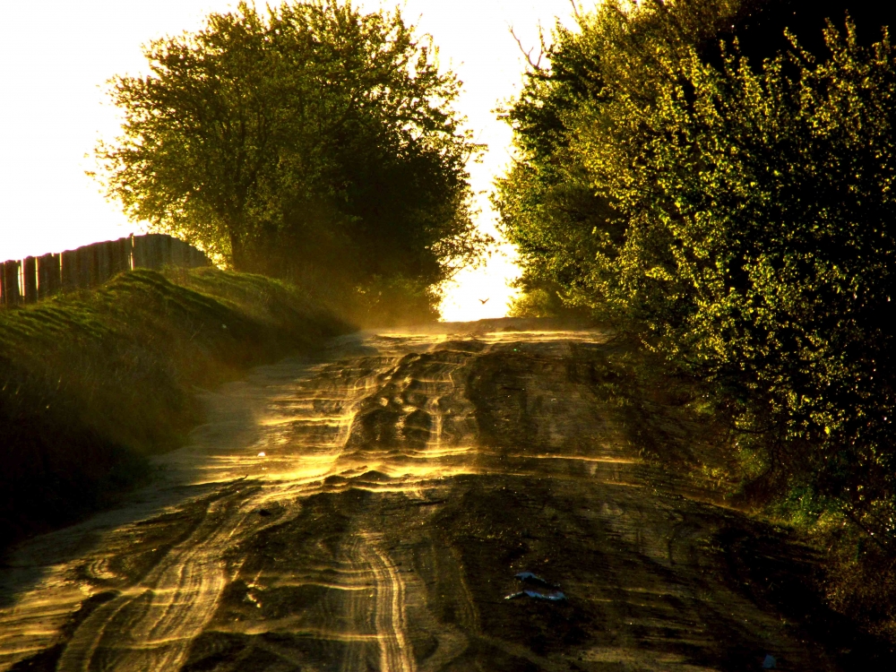 "El Camino" de Juan Carlos Monges