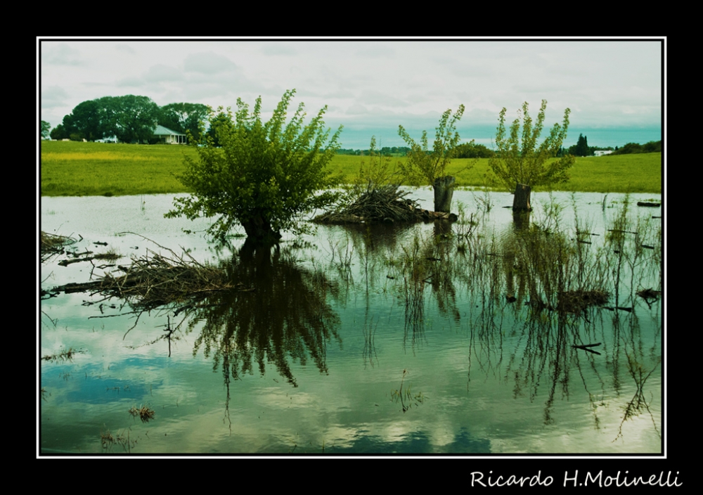 "Reflejos en el baado" de Ricardo H. Molinelli