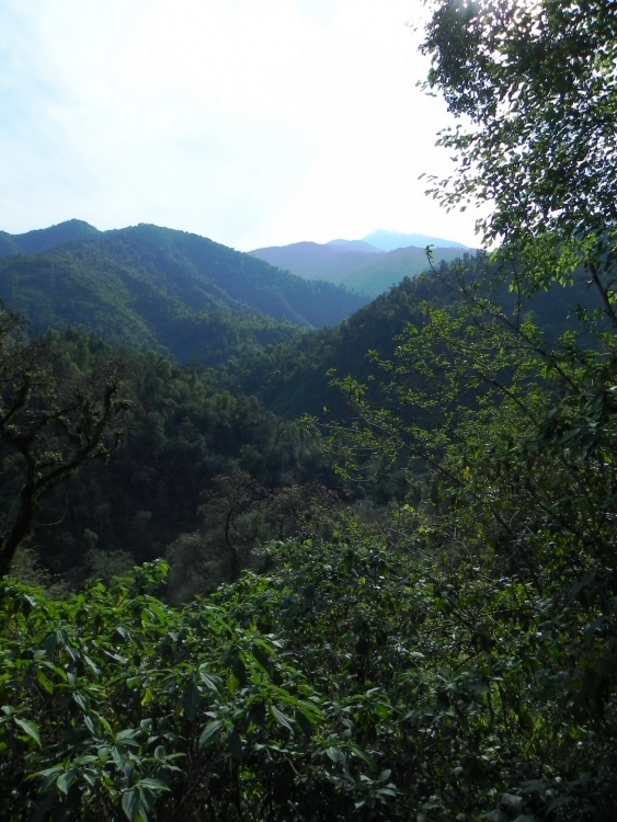 "NOA -Yunga Tucumana" de Horacio Furlan