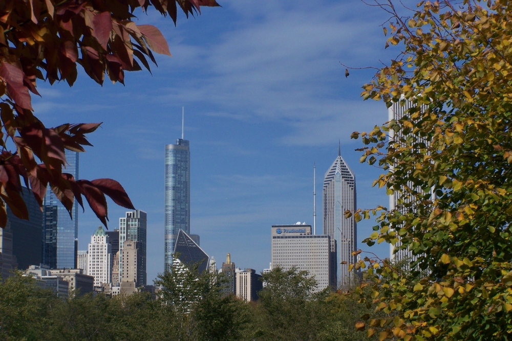 "Otoo en Chicago." de Jos Luis Mansur