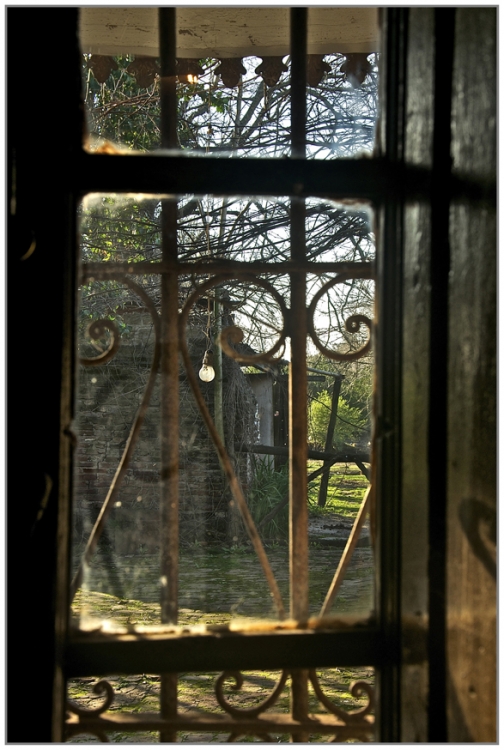 "Desde la ventana" de Marcelo Nestor Cano