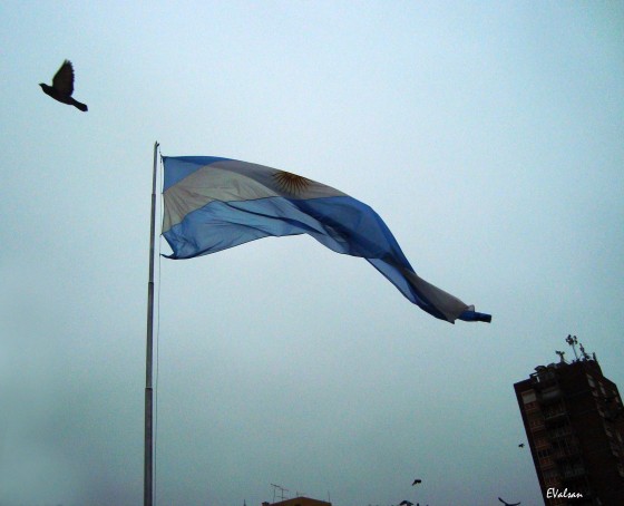 "En vuelo triunfal..." de Eduardo Valsangiacomo