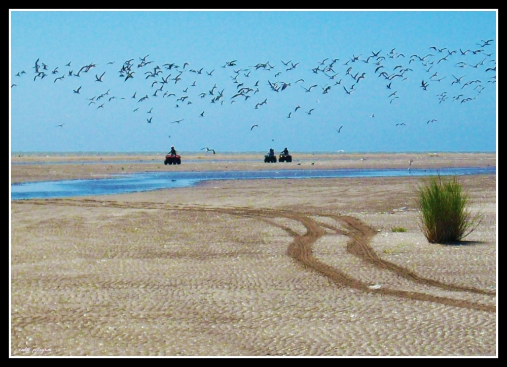 "Un da en el paraiso" de Andrea Pellegrini