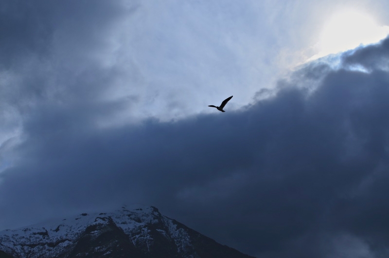 "En vuelo" de Lorena Irigoy