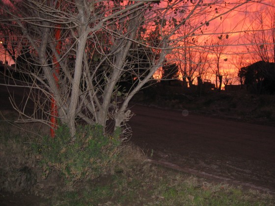 "Amanece, que no es poco" de Gloria Fernndez