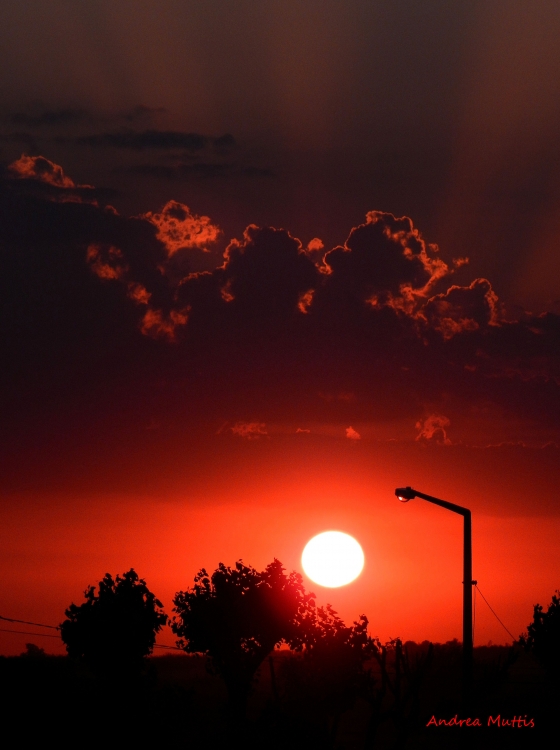 "Era un bello atardecer" de Andrea Maria J Muttis