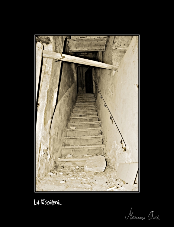 "La Escalera..." de Carmen Esteban
