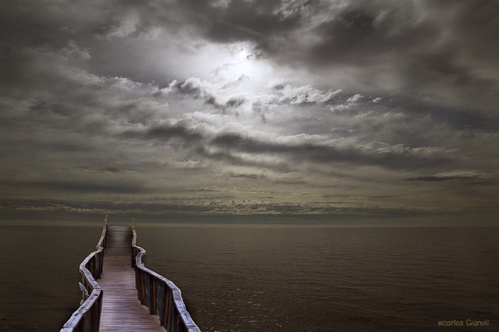 "Puente al horizonte" de Carlos Gianoli