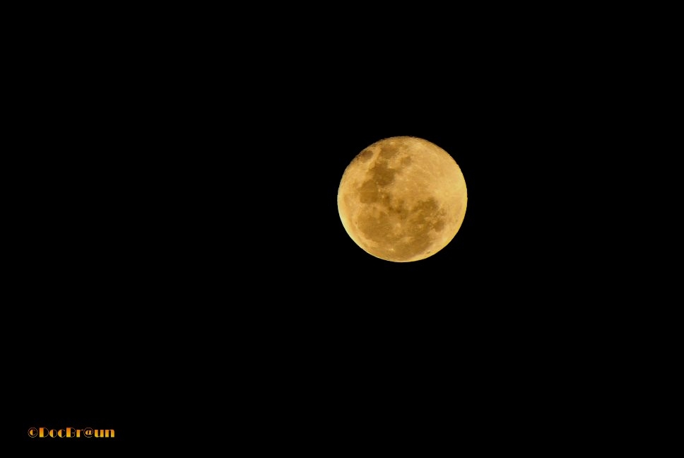 "La luna anoche" de Juan Jos Braun