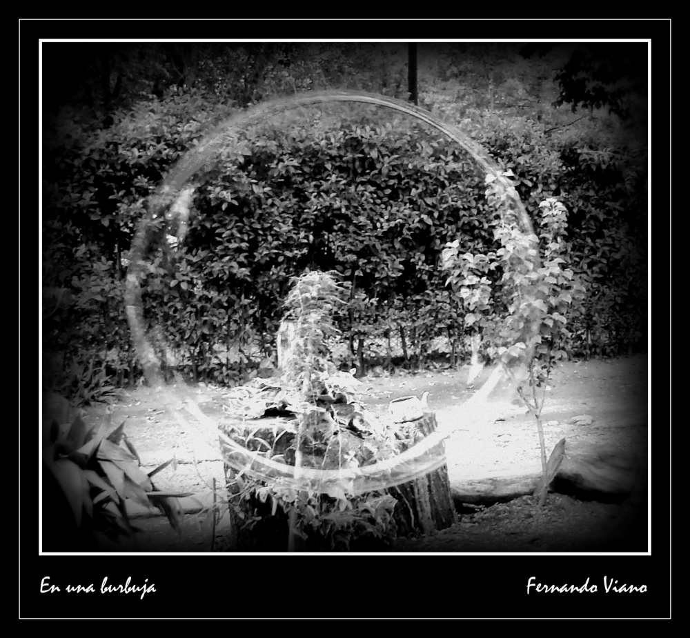 "En una burbuja" de Fernando Viano
