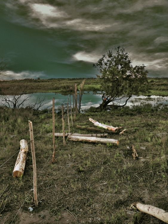 "Alambrando la soledad" de Ricardo Cascio