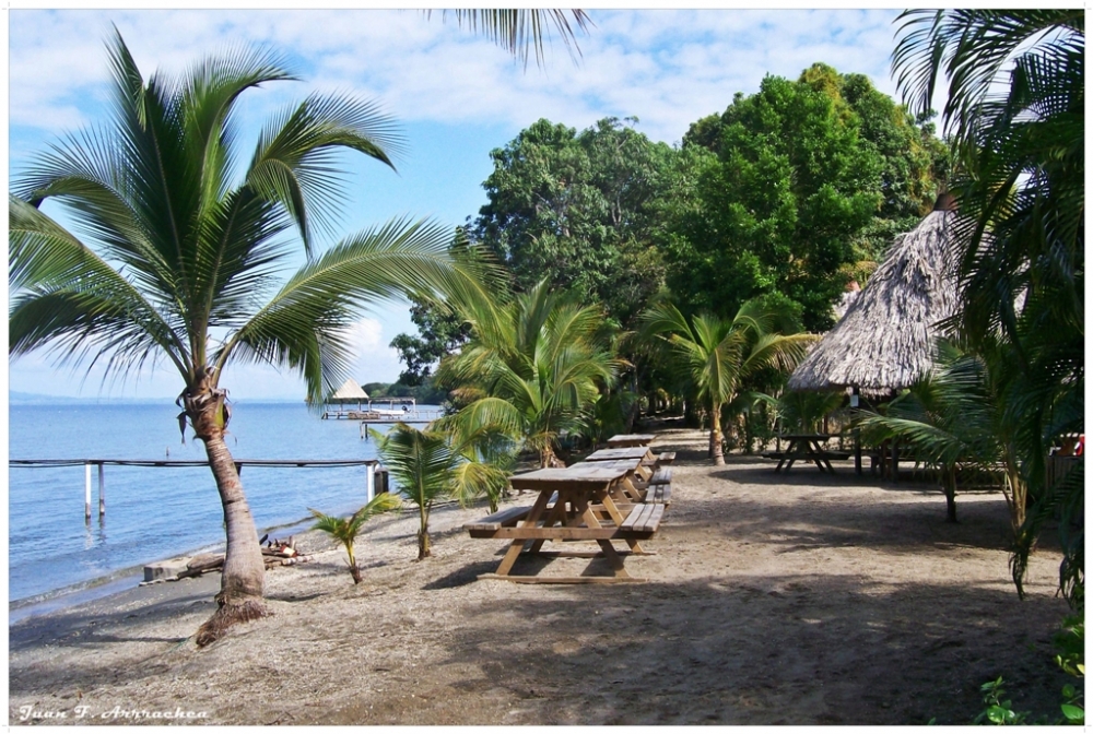 "playa Dennis" de Juan Francisco Arrachea