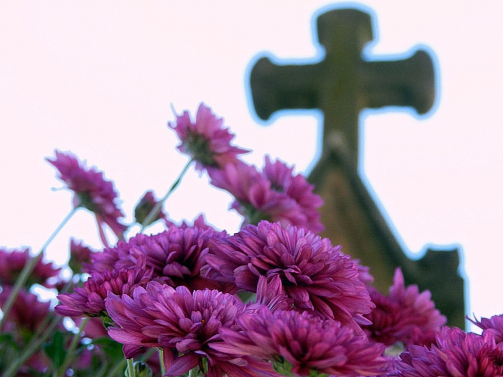 "flores en el cementerio" de Rosa Mara Olivn