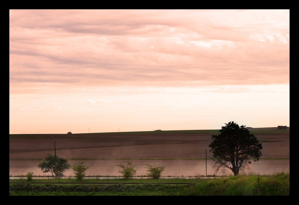 "Paisaje rural....." de Hernn Gonzlez Crapanzano