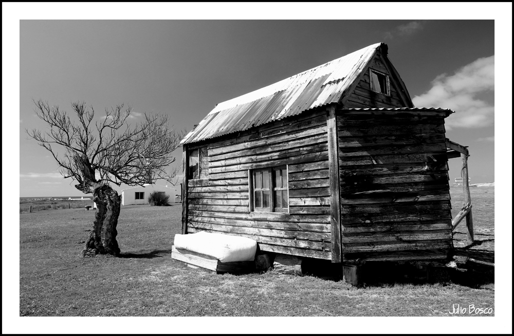 "La casa del arbol" de Julio Bosco