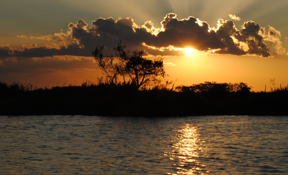 "atardecer en los esteros" de Adriana Elizalde