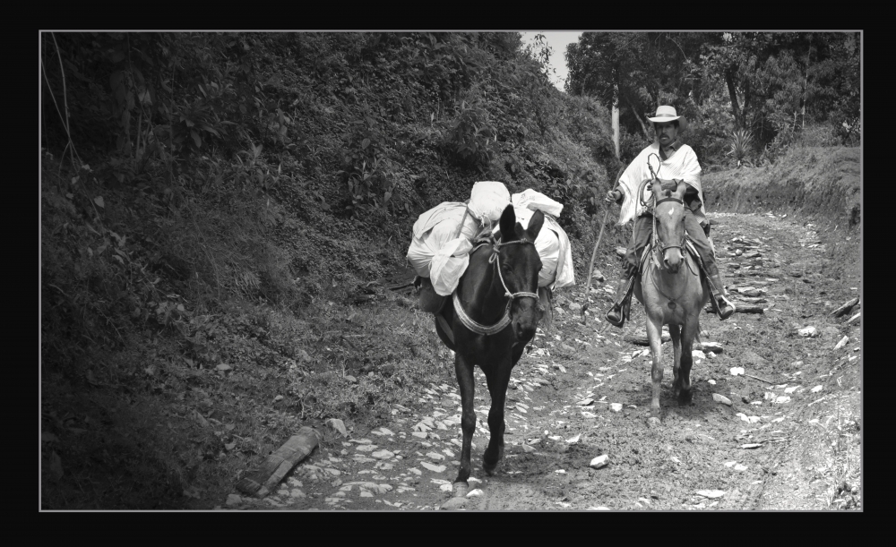 "subiendo la cuesta" de Adriana Elizalde