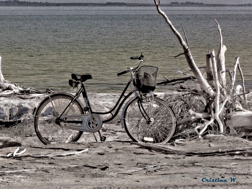 "Bicicleta en Epecun...." de Cristina Wnetrzak