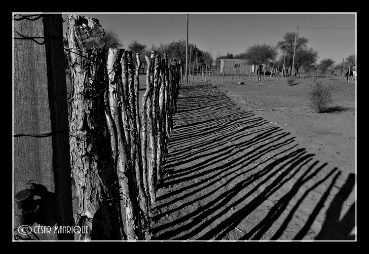 "SOMBRAS DEL CAMPO" de Csar Manrique