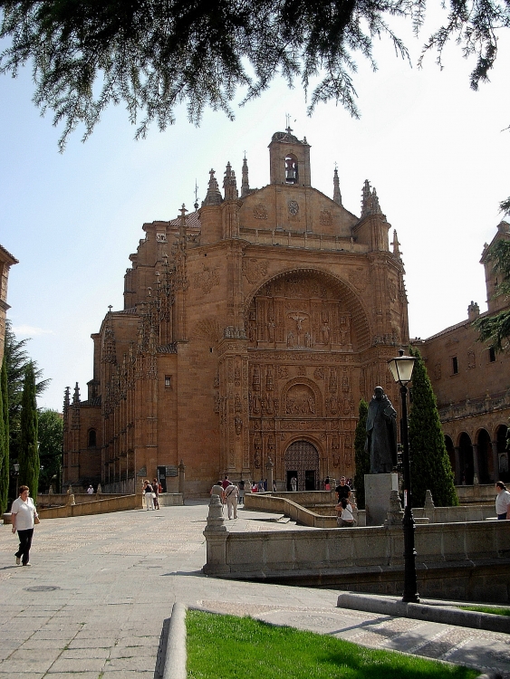 "catedral de Salamanca" de Carlos Maximo Suarez