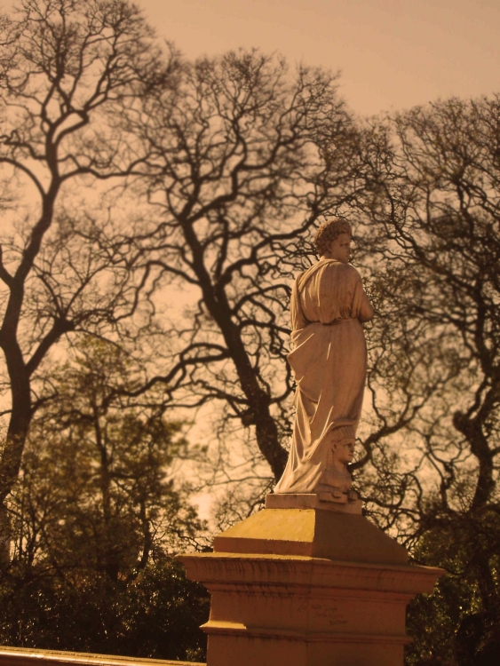 "Entre Los Arboles" de Maria Florencia Julia