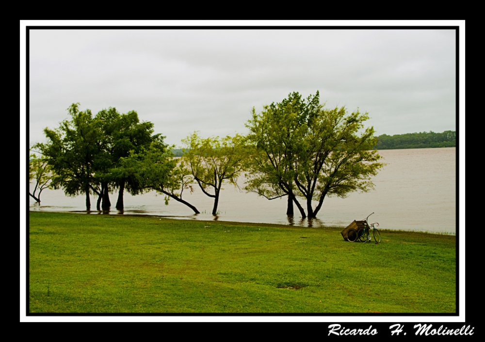 "Todo es quietud" de Ricardo H. Molinelli