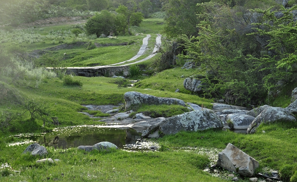 "Va cayendo la tarde en el arroyo" de Ral Cancela