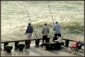 Dias de Pesca