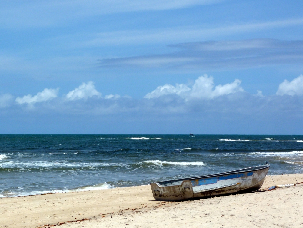 "la playa" de Carlos Alborc