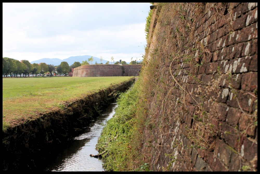 "the wall" de Gustavo Spaltro