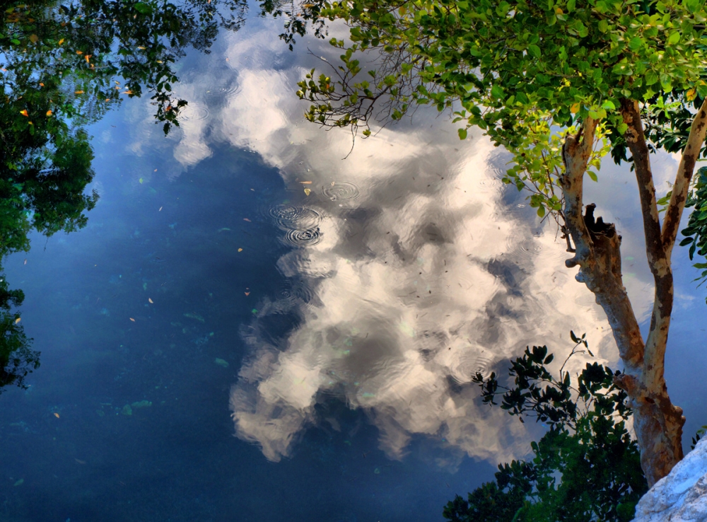 "Cenote Cristalino." de Antonio Cristerna