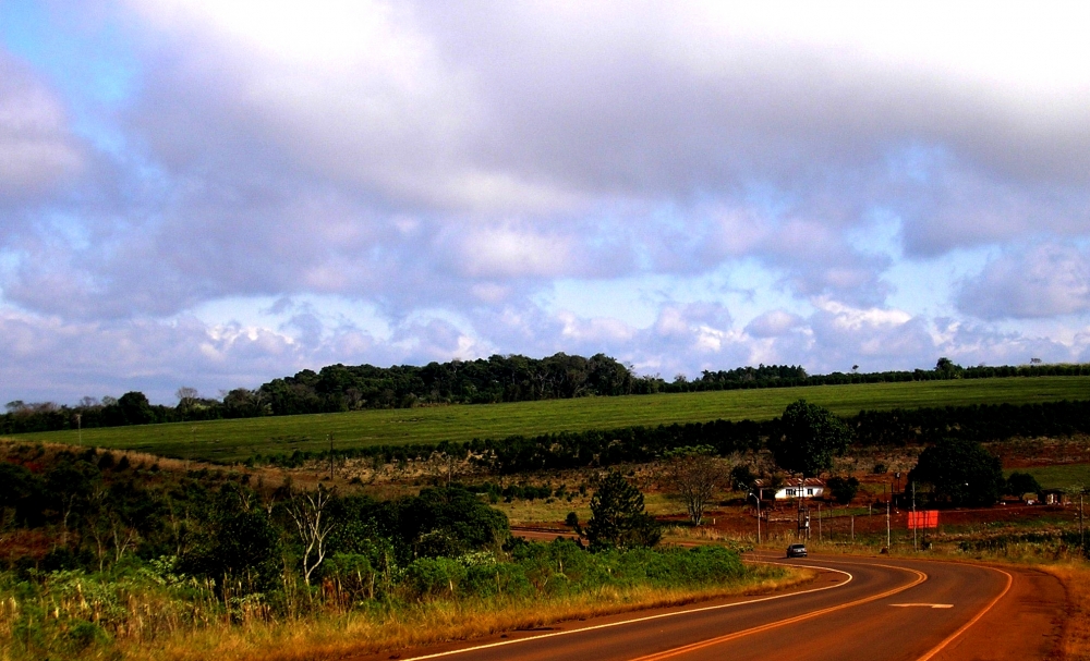 "Paisaje misionero" de Mercedes Pasini