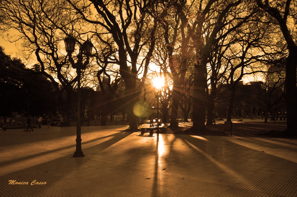 "Plaza San Martn cae el sol" de Monica Casso