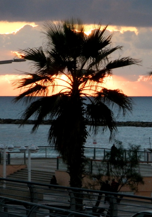 "atardecer, frente al mar." de Tzvi Katz