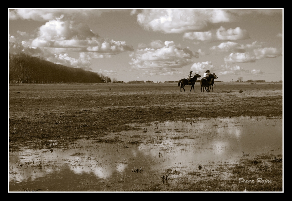 "Estampa campestre" de Diana Rojas