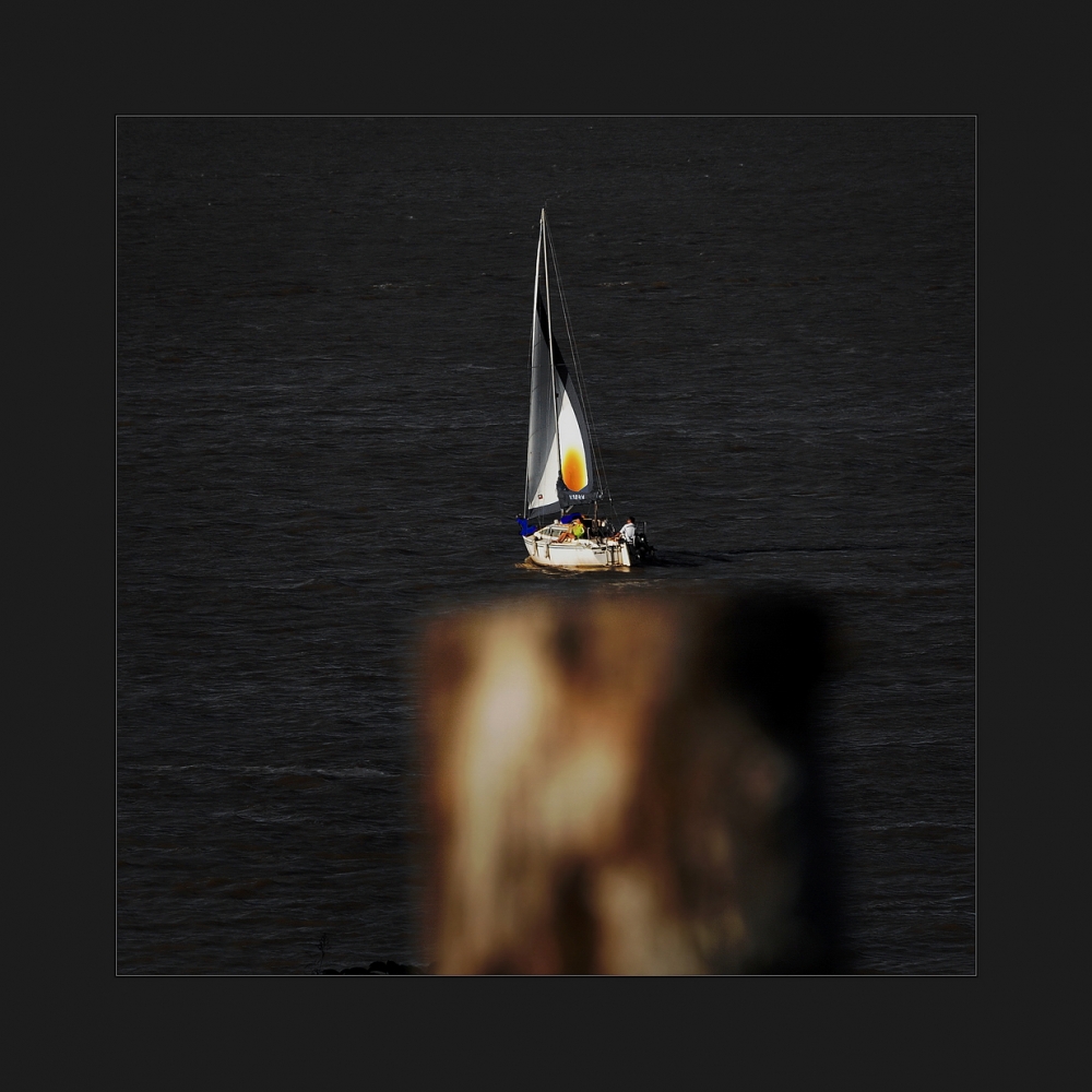 "El velero llama" de Rafa Lanuza