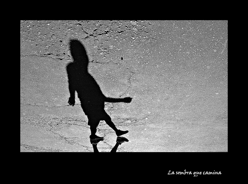 "La sombra que camina" de Alberto Elizalde