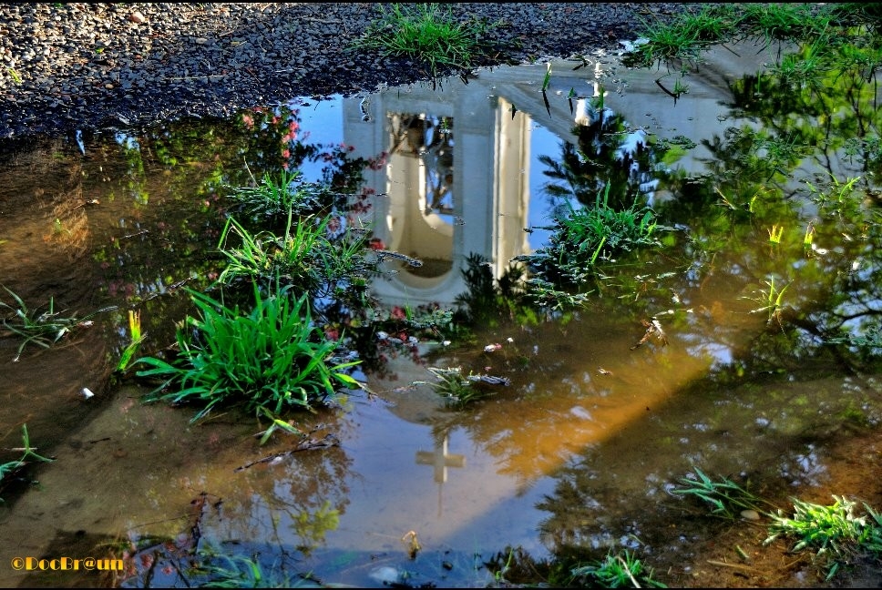 "Reflejos II" de Juan Jos Braun