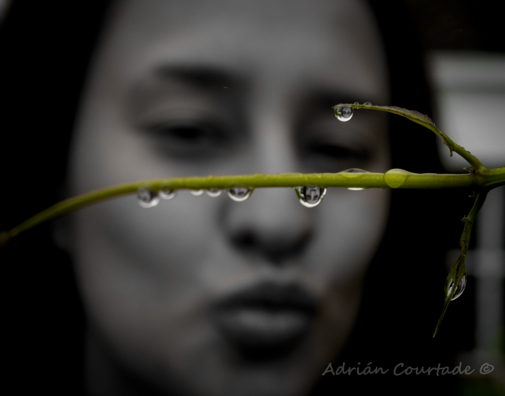"Retrato en gotas" de Adrian Courtade